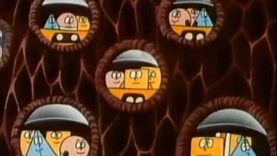 Το Ανθρώπινο Σώμα – E10 Οι Νευρώνες